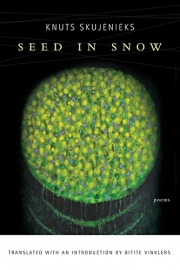 Seed_in_snow.jpg