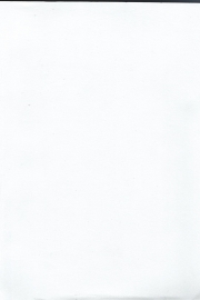 0001_balt_gramata_crop.jpg